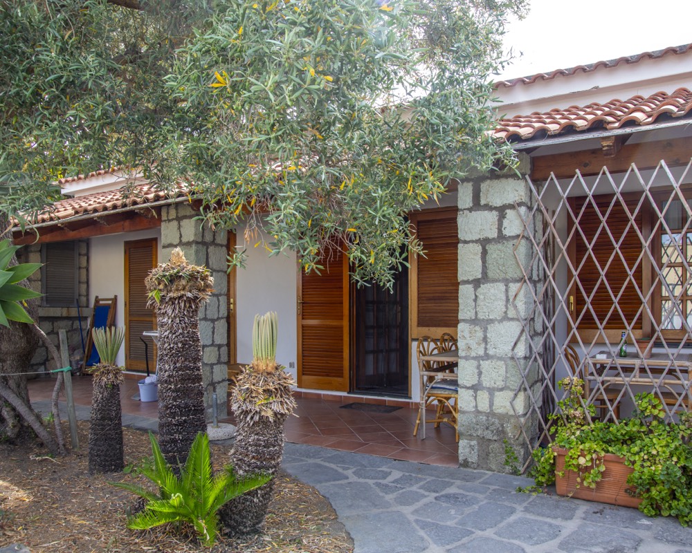 Esterno con ulivo e palme